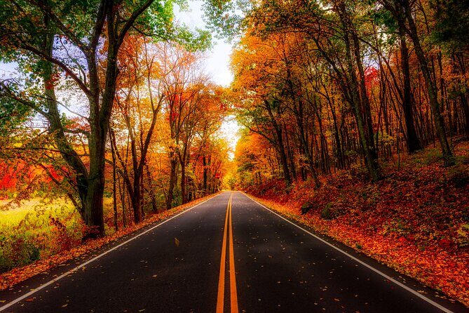 Autumn Romance Escape: A Nashville Couples' Getaway - Exploring the Itinerary: What to Expect from Each Stop