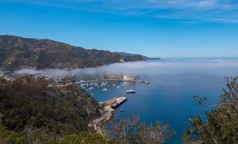 Avalon, Catalina Island: 2-Hour Inside Adventure Tour - Starting Point and Logistics