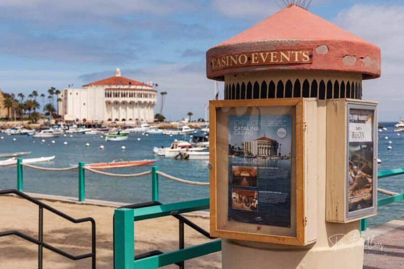 Avalon: Private Golf Cart Tour with Driver-Guide - Key Points