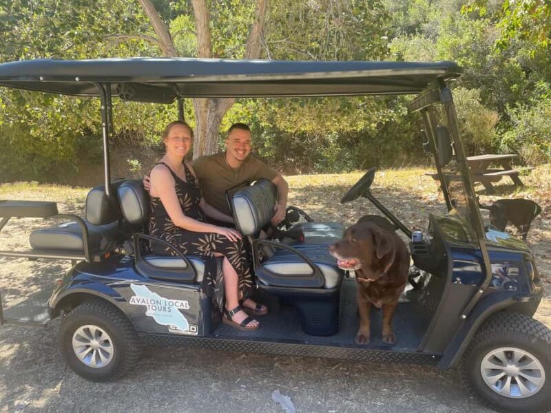 Avalon: Private Golf Cart Tour with Driver-Guide - Cost and Value