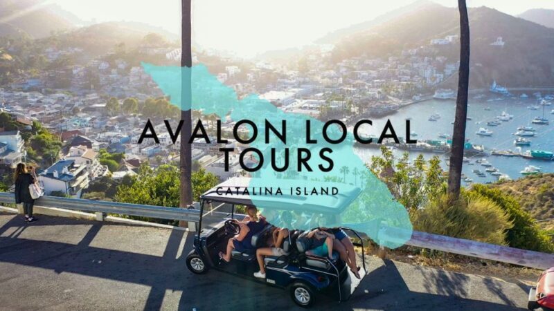 Avalon: Private Golf Cart Tour with Driver-Guide - Final Thoughts