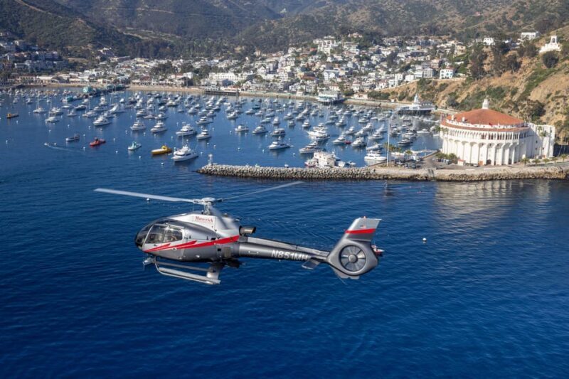 Avalon: Santa Catalina Island Aerial Helicopter Tour - Key Points
