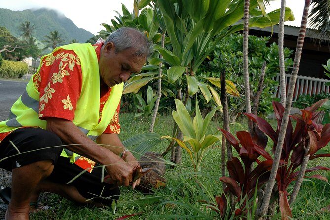 Avarua Historical Walking Tour - FAQ