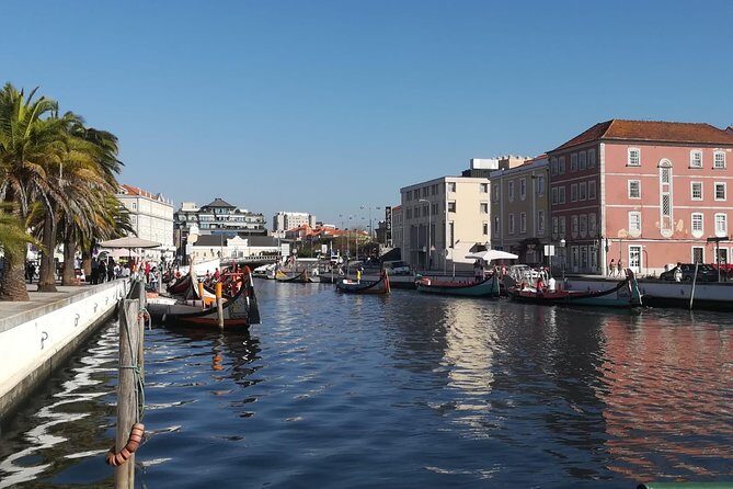 Aveiro and Coimbra from Porto with Moliceiro Boat Trip - The Sum Up