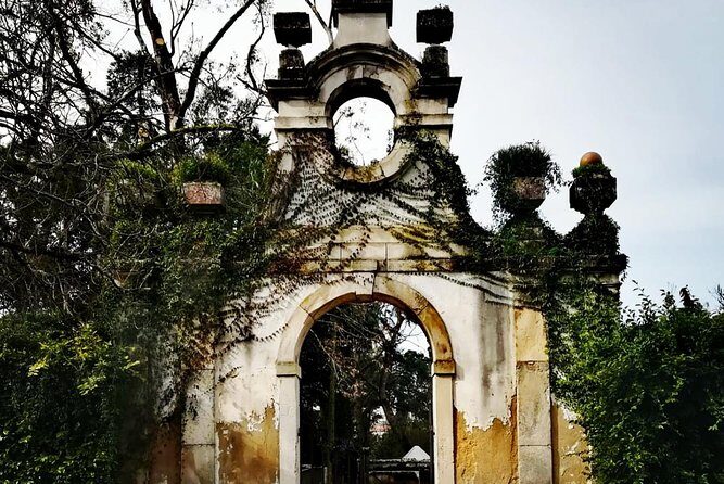 Aveiro and Coimbra Private Tour From Porto - What Sets This Tour Apart