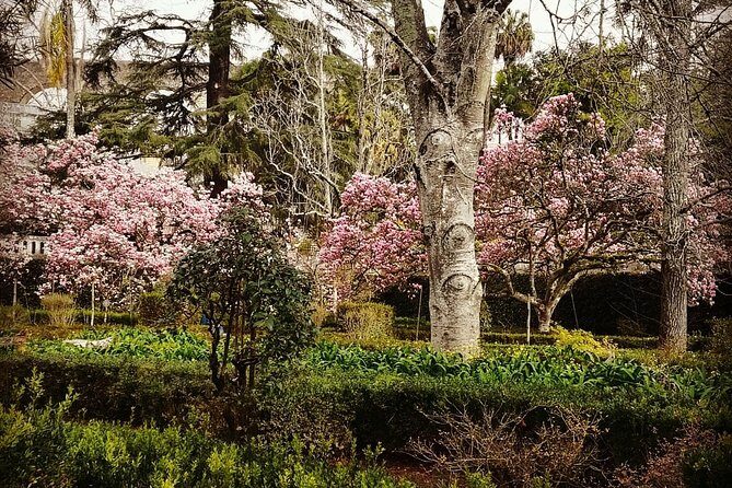 Aveiro and Coimbra Private Tour From Porto - Who Should Consider This Tour?