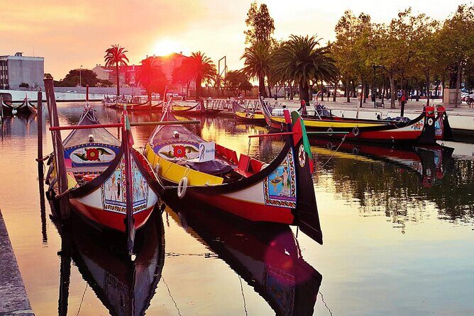 AVEIRO AND NEW COSTA: Private Full-Day Tour from Porto - Key Points