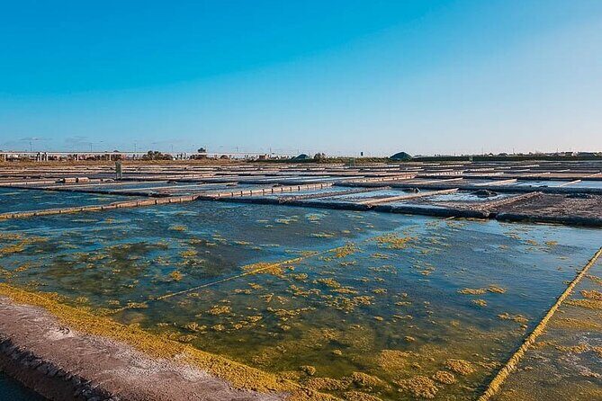 AVEIRO AND NEW COSTA: Private Full-Day Tour from Porto - Costa Nova: The Colorful Seaside Village