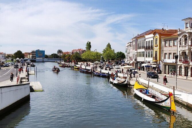 AVEIRO AND NEW COSTA: Private Full-Day Tour from Porto - Return to Porto