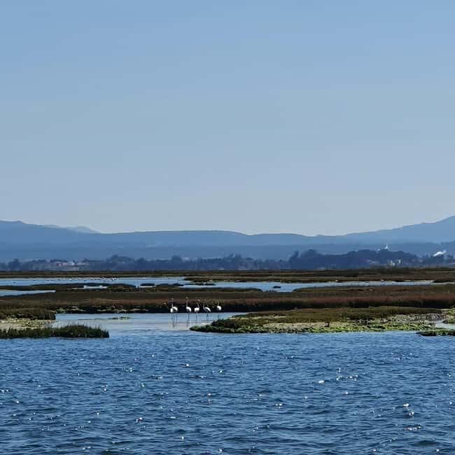 Aveiro Boat Tour - FAQs