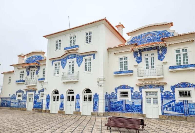Aveiro City Tour: Private day trip with tickets included. - Practical Details & What You Should Know