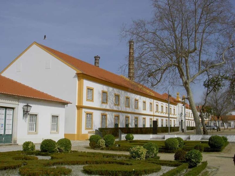 Aveiro City Tour: Private day trip with tickets included. - FAQ