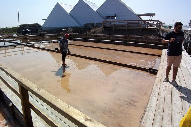 Aveiro & Costa Nova Private Tour Canals & Striped Houses - An Insider’s Guide to the Aveiro & Costa Nova Tour