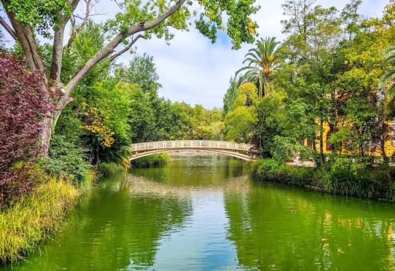Aveiro: Gondola Ride and Costa Nova Beach All Included. - Analyzing the Cost: Is it Worth $206?