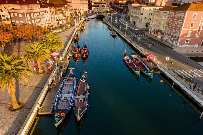 Aveiro Half Day Private Tour Porto w/ Moliceiro River Cruise - Who Will Love This Tour?