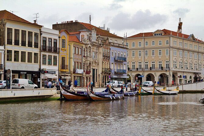 Aveiro Half Day Tour from Porto - Who Will Love This Tour?