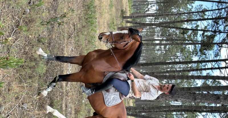 Aveiro: Horse Riding Experience with Instructor - The Overview: What You Can Expect from the Aveiro Horse Riding Experience