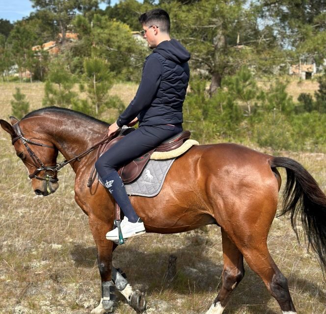 Aveiro: Horse Riding Experience with Instructor - The Guides and Small Group Experience