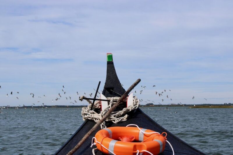 Aveiro: passeio de barco típico com degustação - 90 min - The Value and Practicalities