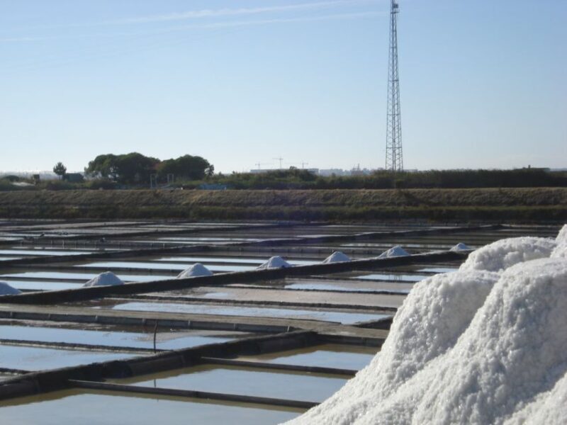 Aveiro: Walking Tour, Boat Cruise, Sweets & Church Entrance - What’s Included and What’s Not