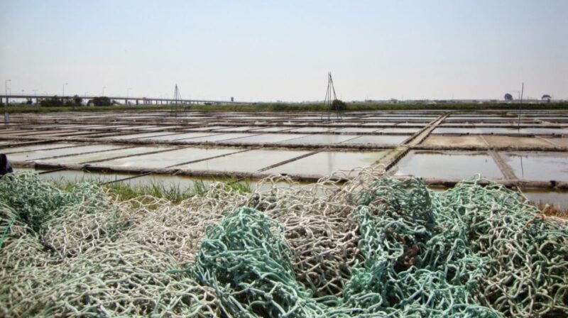 Aveiro: Walking Tour, Boat Cruise, Sweets & Church Entrance - The Experience from Reviews