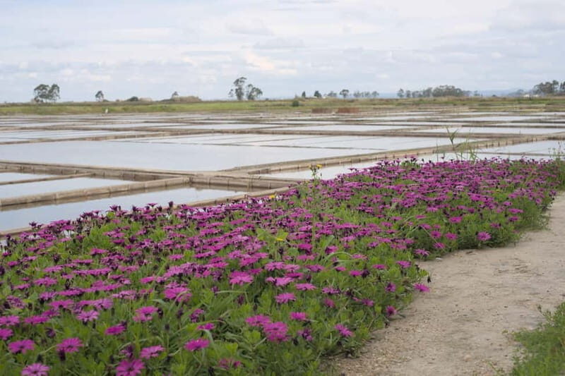 Aveiro: Walking Tour with Tastings - FAQ