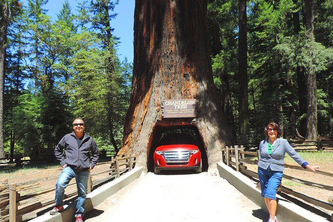 Avenue of the Giants Redwoods private 2-day tour +1 night hotel - Key Points