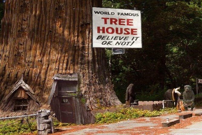 Avenue of the Giants Redwoods private 2-day tour +1 night hotel - An In-Depth Look at the Itinerary and Highlights