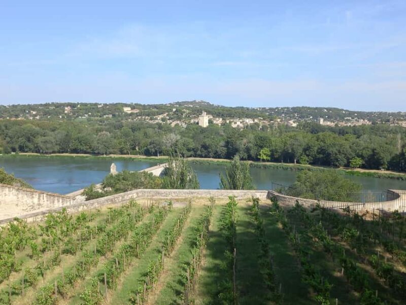 Avignon: City Walking Tour with Popes Palace Entry - The Sum Up: Who Will Love This Tour?