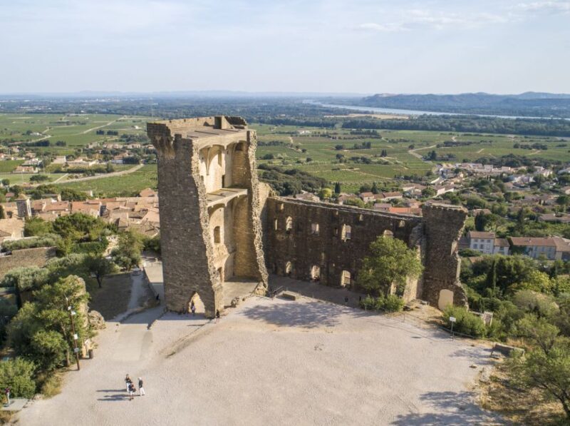 Avignon: Full-Day Châteauneuf du Pape Wines & Luberon Tour - Who Should Consider This Tour?