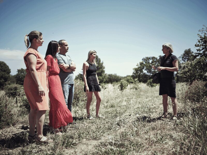 Avignon : Full day Truffles and Chateauneuf-du-Pape Wines - Key Points