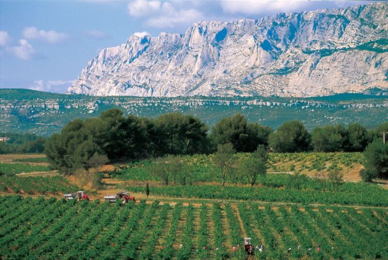 Avignon: Full-Day Wine Tour around Châteauneuf-du-Pape - Introduction: A Taste of Provence in a Day