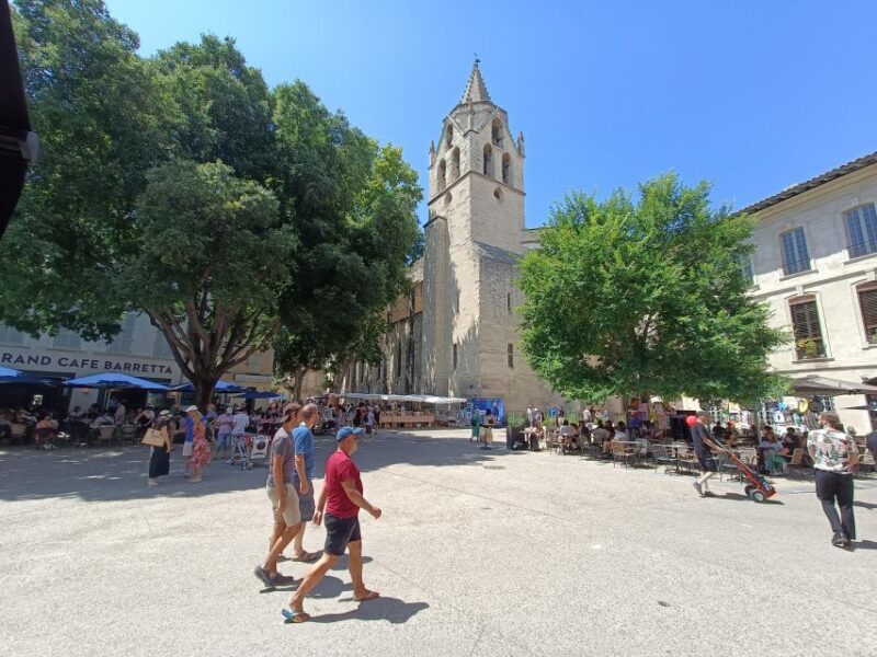 Avignon : Half-Day Walking Tour with Private Guide - Practical Details and What You Should Know