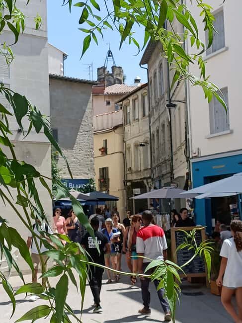 Avignon : Half-Day Walking Tour with Private Guide - What We Loved and What Could Be Better