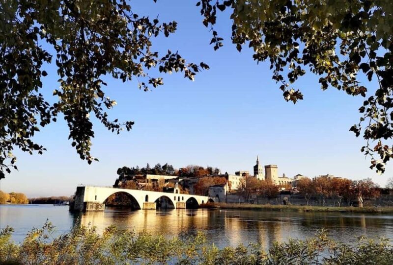 Avignon: Palace of the Popes & Avignon Bridge Entry - Key Points