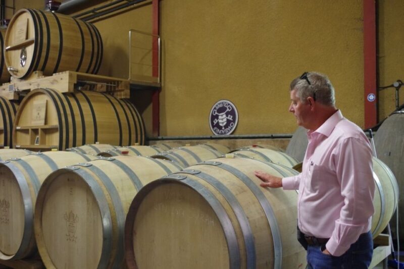 Avignon: Wine Tasting Tour - A Closer Look at the Itinerary