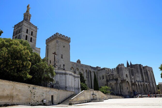 Avignon's history, local culture & the wines of Châteauneuf du Pape private tour - Discovering Avignon: A City of Power and Culture