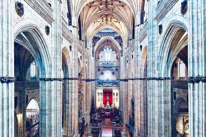 Avila and Salamanca a day between history and walls from Madrid - Who Is This Tour Best For?