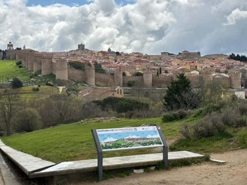 Avila and Segovia: Private Minivan Tour from Madrid - Exploring Ávila and Segovia: What You Can Expect