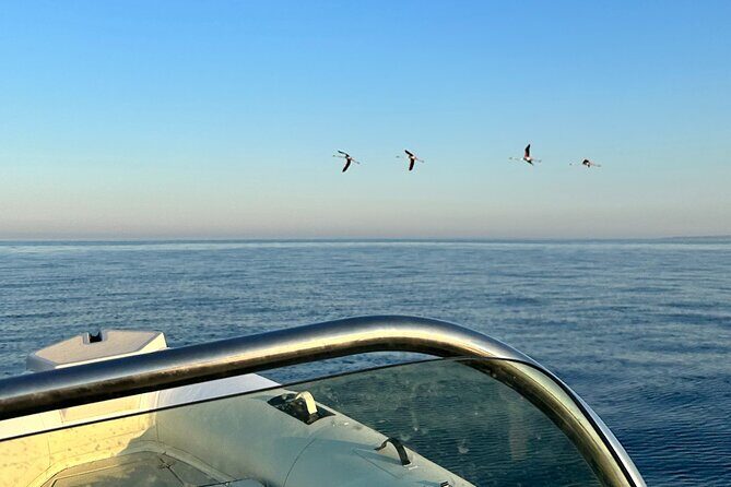 Avola: Group Boat Tour Vendicari Capopassero and Aperitif - Who Should Book This Tour?