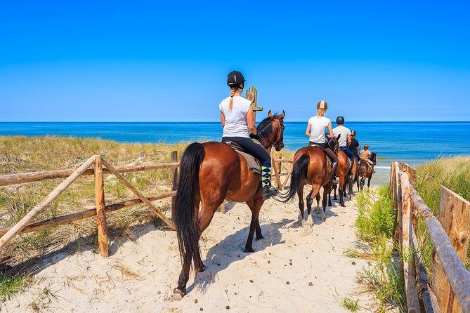 Awaken to Paros: A Scenic Morning Horseback Ride - FAQs
