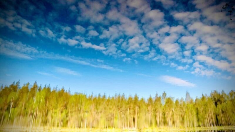 Awakening five senses in Finnish Nature (+traditional sauna) - Who Will Love This Tour?