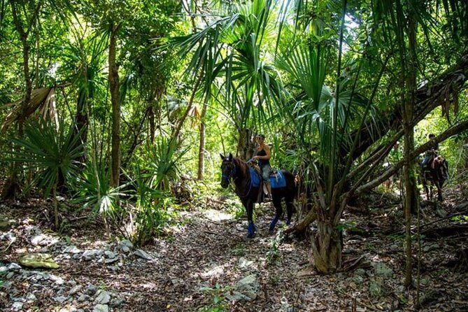 Award-winning Classic Horseback Ride (max. 6 riders) - Value for Money: Is It Worth the Price?