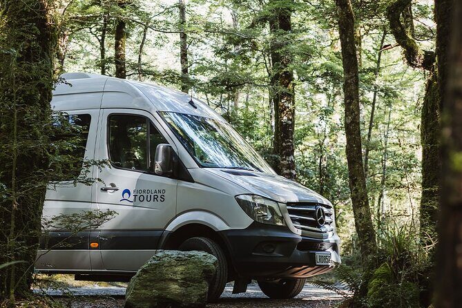 Award Winning Milford Sound Full Day Tour & Cruise from Te Anau - The Sum Up