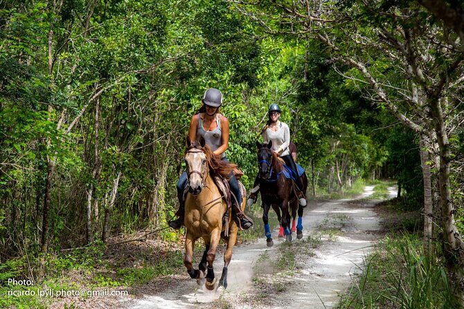 Award-winning Private Classic Horseback Ride - Why This Experience Offers Great Value