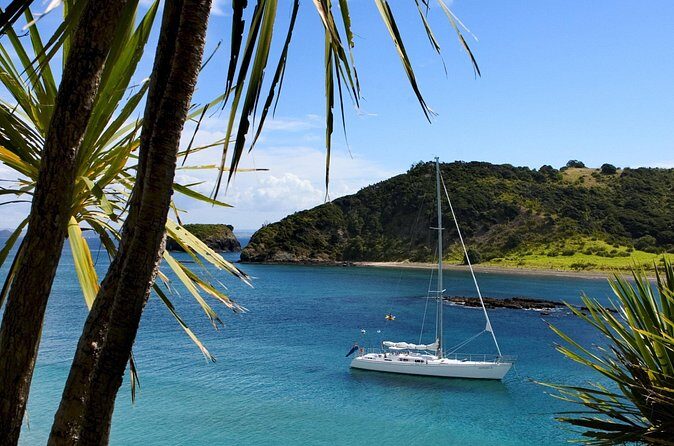 Awesome Bay of Islands Day Sailing Adventure - Who Will Love This Tour?