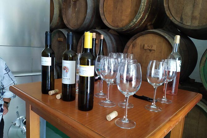 Axarquia VIP Wine Tour with Gourmet Winery Lunch Experience - In-Depth Review of the Axarquia VIP Wine Tour