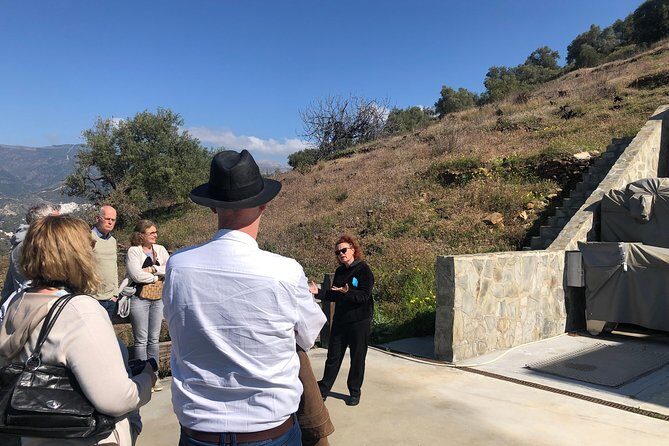 Axarquia VIP Wine Tour with Gourmet Winery Lunch Experience - The Gourmet Vineyard Lunch: A Feast for the Senses