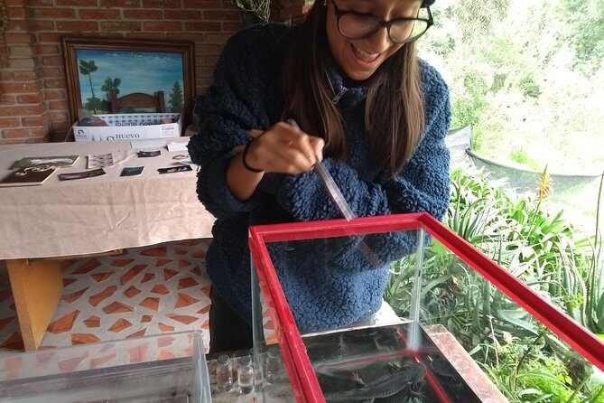 Axolotl Tour from CDMX - Final Thoughts