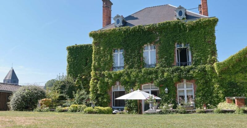 Aÿ-Champagne: Champagne House Tour and Tasting Class - The Sum Up